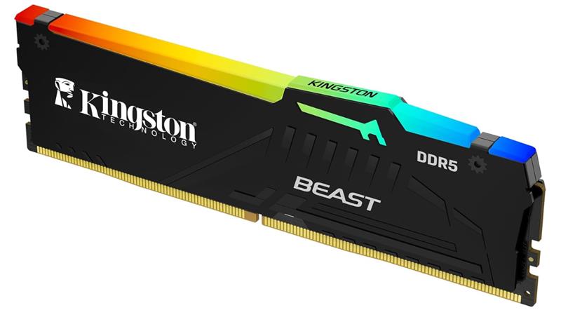 8GB 5600MT/s DDR5 CL36 DIMM Beast RGB EXPO Turkey