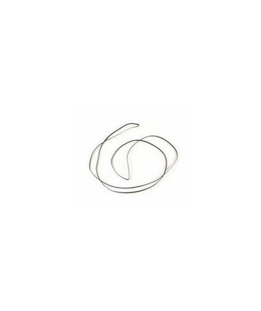 Carriage belt - Used to move the carriag