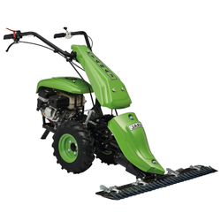 Taral 19S 173F Dizel Z�pkal� �ay�r Bi�me Makinas� 5.5 Hp