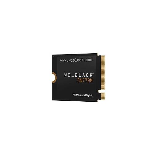 BLACK NVMe1TB M2 3000/1600MB/S