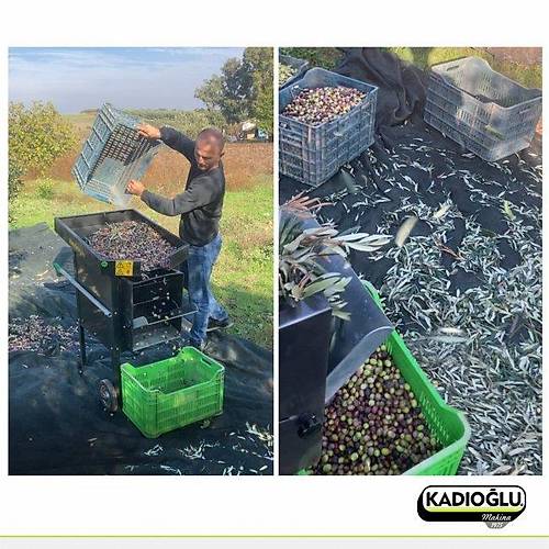 Kad�o�lu ZY100 Elektrikli 220v Yaprak Ay�rma Makinesi