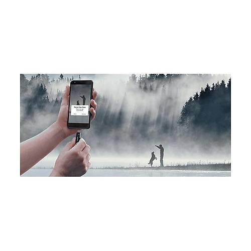 SanDisk Ultra Dual Drive Go USB Type C 256GB