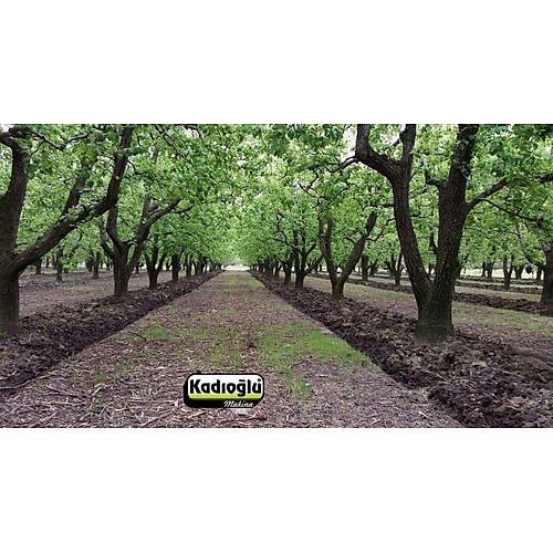 Kad�o�lu Eko Duyarga Ta��y�c� + Pulluk