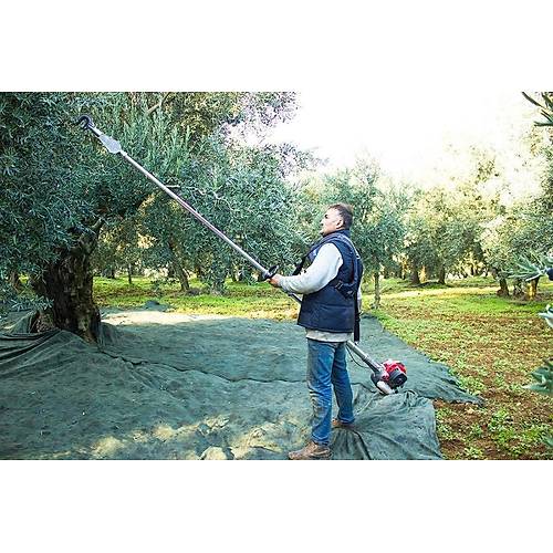 Kawasaki TJ53 HFS �anz�manl� Zeytin Hasat Makinesi