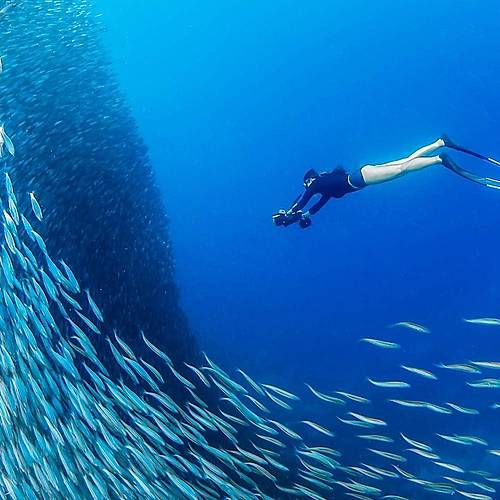 Sublue Navbow Su Alt� Sea Scooter