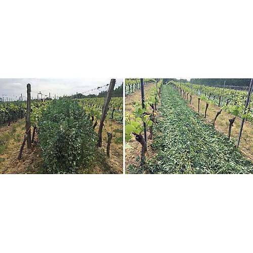 Kad�o�lu EcoRoller Ot Mal�lama ve An�z K�rma Makinesi