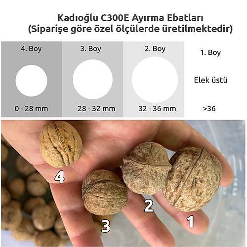 Kad�o�lu C300E 3+1 Tamburlu Ceviz Boylama Kalibrasyon Makinesi