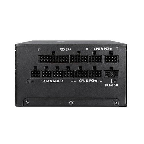 BFG GOLD 1000W Gold 80+ PCIe5.0