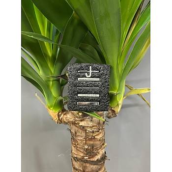 Apple Watch Uyumlu Kordon Aksesuar� Charm Set J Harfi