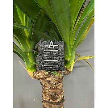 Apple Watch Uyumlu Kordon Aksesuar� Charm Set A Harfi