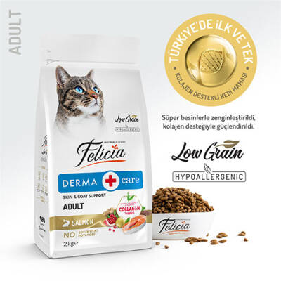 Hypoallergenic Somonlu Düşük Tahıllı Yetişkin Kedi Maması 2 Kg