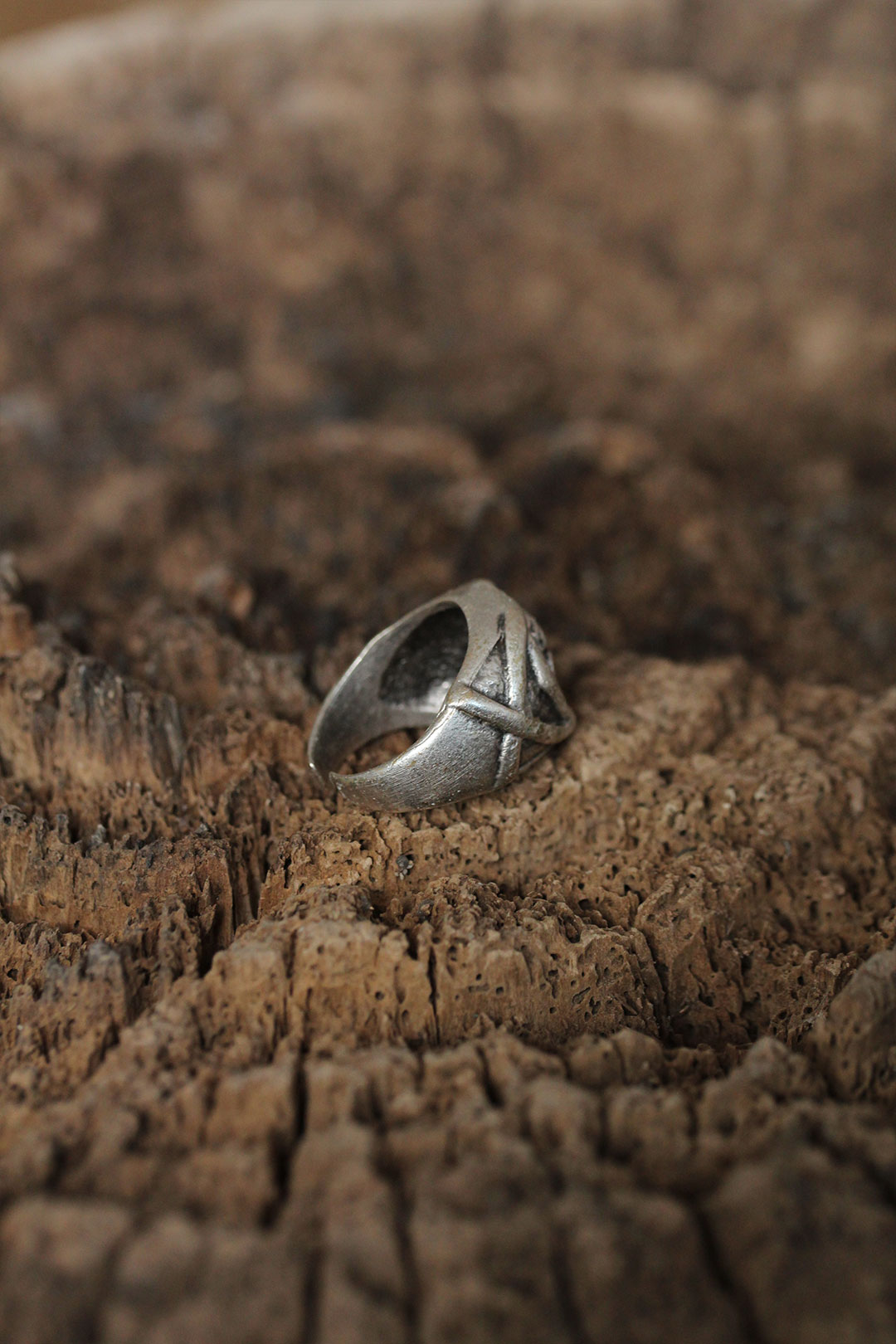 Ayarlanabilir Kuru Kafa Tasarımlı Erkek Yüzük