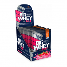 Big Whey Go 458 Gr Kapuçino 15 Saşe