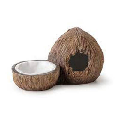 Ex Coconut Sürüngen Saklanma Alanı ve Su Kabı