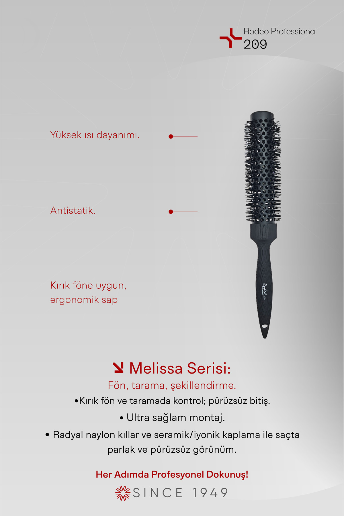 209 Saç Fırçası