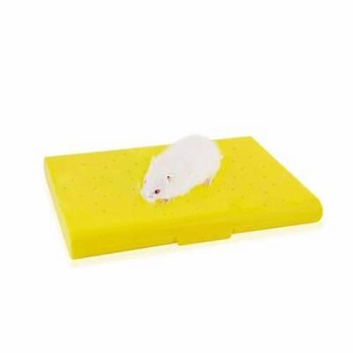 Carno So�utucu Buz Torbal� Hamster Yata�� 14x10x1 Cm