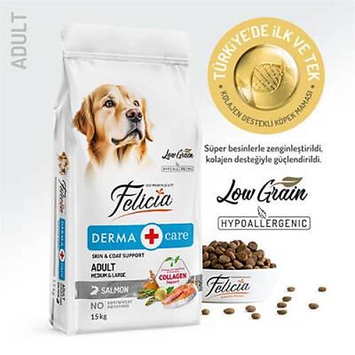 Hypoallergenic Medium Large Somonlu D���k Tah�ll� Yeti�kin K�pek Mamas� 15 Kg