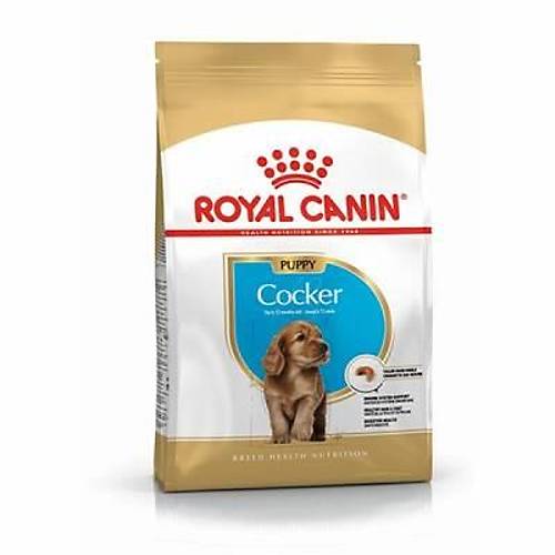 Cocker Spaniel Puppy Yavru K�pek Mamas� 3 Kg