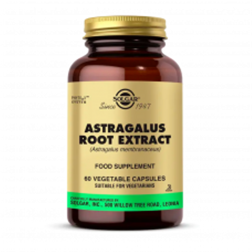Astragalus Root Extract 60 Kaps�l