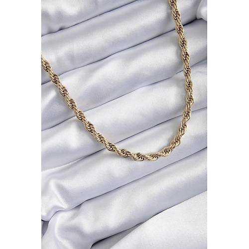 316L �elik Gold Renk 60 cm Burgu Model Kad�n Kolye