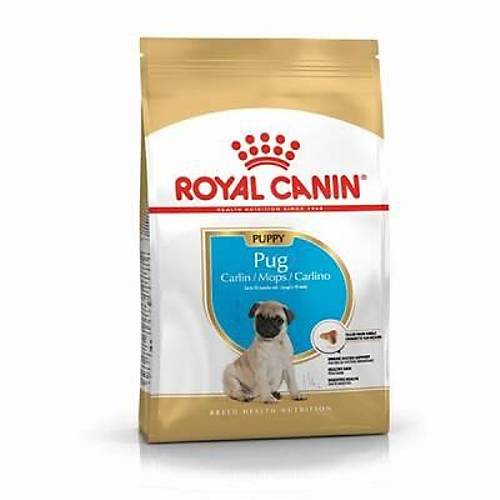 Pug Puppy Yavru K�pek Mamas� 1,5 Kg