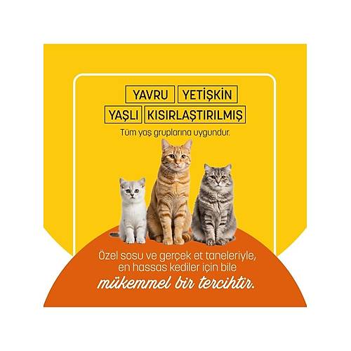 Petzzcats Tavuk Etli Konserve Kedi Mamas� 1 Adet 70 gr
