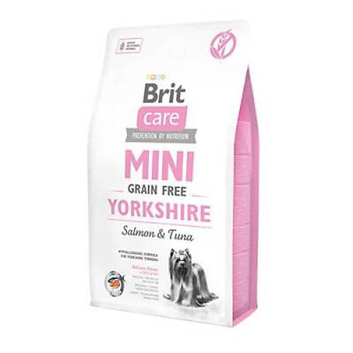 Mini Yorkshire Somonlu K���k Irk Tah�ls�z Yeti�kin K�pek Mamas� 2 Kg