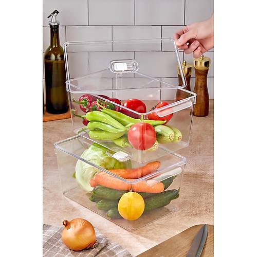 2'li Battal Boy Vakum D��meli Kapakl� Dolap ��i Organizeri & K�r�lmaz D�zenleyici Kutu (9Lt)