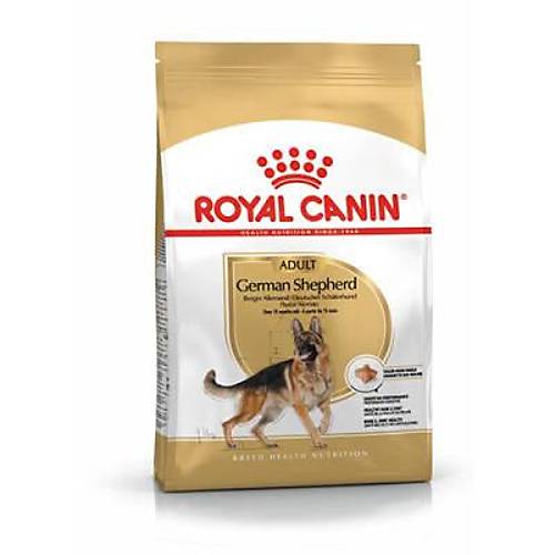 German Shepherd Adult Yeti�kin K�pek Mamas� 11 Kg