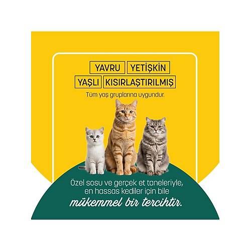 Petzzcats Ton Bal��� & Kalamar Konserve Kedi Mamas� 1 Adet 70 gr