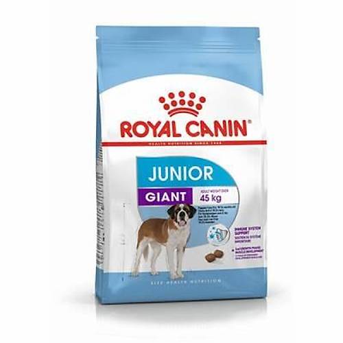Giant Junior Dev Irk Puppy Yavru K�pek Mamas� 15 Kg