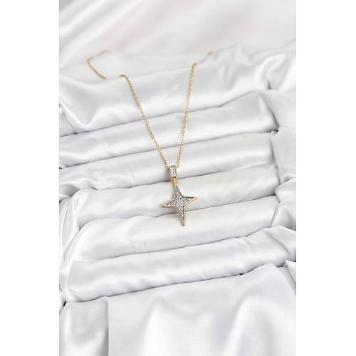 316L �elik Zincir Gold Renk Kutup Y�ld�z� Model Zirkon Ta�l� Kad�n Kolye