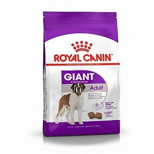 Giant Adult Dev Irk Yeti�kin K�pek Mamas� 15 Kg
