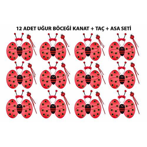 U�ur B�ce�i Kost�m Seti - Kanat Ta� Asa 3 Par�a 12 Adet