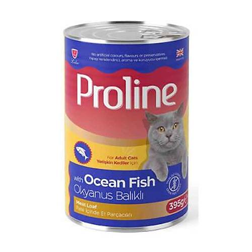 Okyanus Bal�kl� Pate Yeti�kin Kedi Konservesi 12 Adet 395 Gr