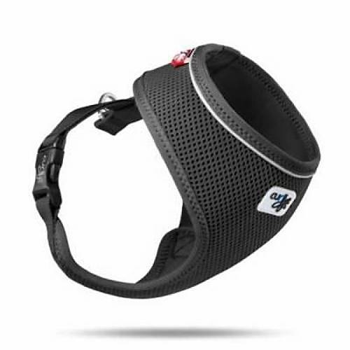 Basic Air-Mesh K�pek G���s Tasmas� Black XS