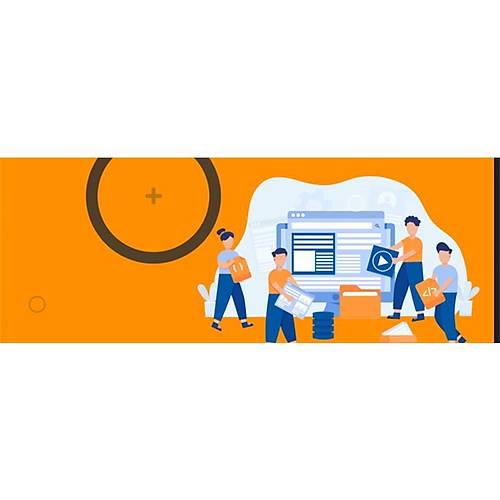 VARYANSOFT G�R�� SEV�YES� ENTEGRASYON PAKET�