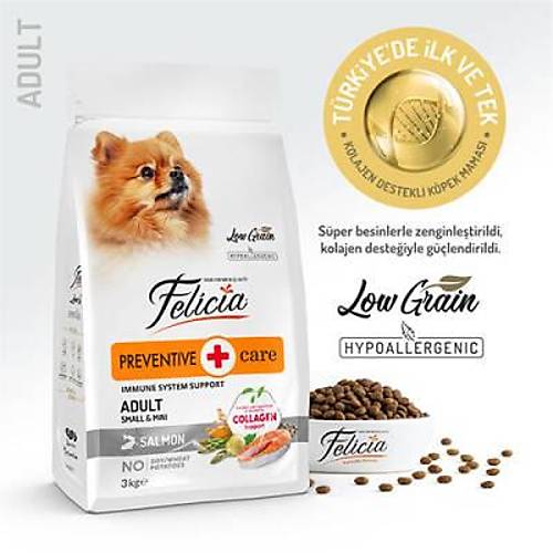 HypoAllergenic Small Mini Somonlu K���k Irk D���k Tah�ll� Yeti�kin K�pek Mamas� 3 Kg