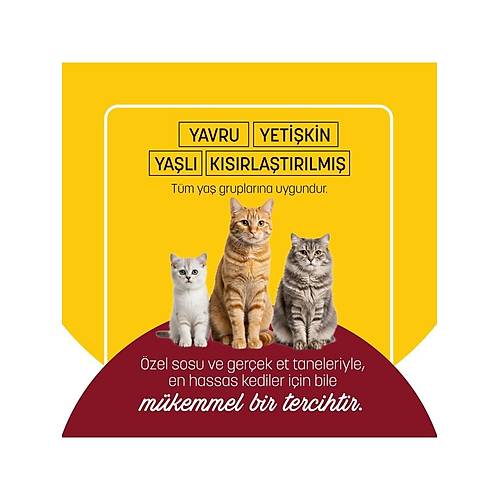 Petzzcats Tavuk & Kalamar Konserve Kedi Mamas� 1 Adet 70 gr