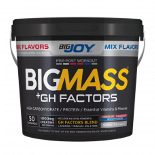Big Mass +GH Factors MIX 5000 Gr