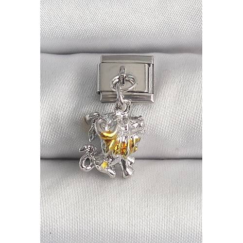 316L �elik G�m�� Renk Sallant� Aslan Model Nomination Charm