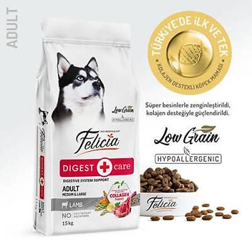 Hypoallergenic Medium Large Kuzulu D���k Tah�ll� Yeti�kin K�pek Mamas� 15 Kg
