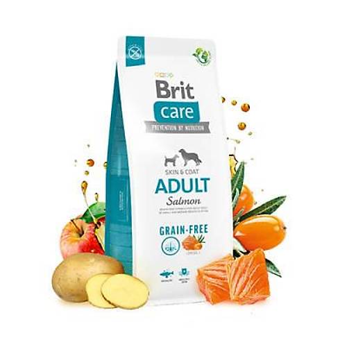 Skin Coat Somonlu Tah�ls�z Yeti�kin K�pek Mamas� 3 Kg