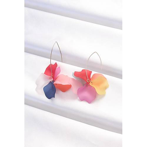 Renk �i�ek K�pe