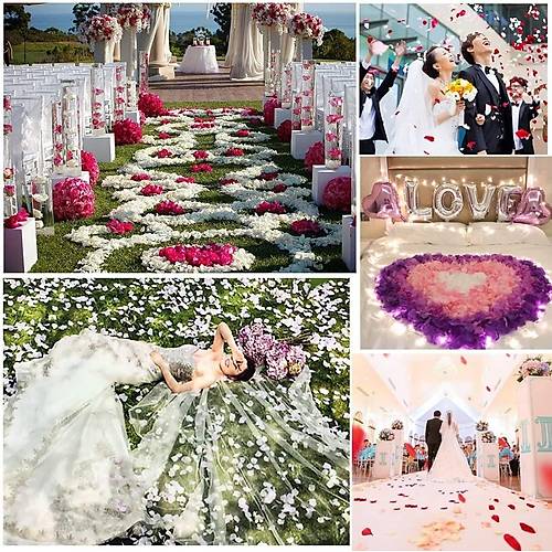 Beyaz Renk G�l Yapra�� �ekilli Konfeti 1 Paket 100 Adet