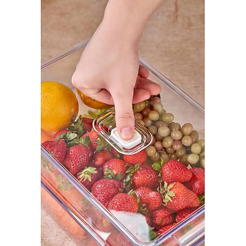 2'li Orta Boy Vakum D��meli Kapakl� Dolap ��i Organizeri & K�r�lmaz D�zenleyici Kutu (4,5Lt)