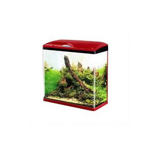Komple Akvaryum 30x19x33,5 Cm K�rm�z�