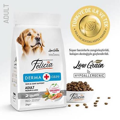 Hypoallergenic Medium Large Somonlu D���k Tah�ll� Yeti�kin K�pek Mamas� 3 Kg