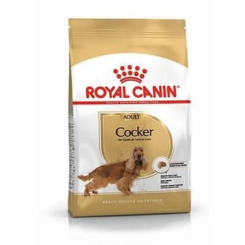 Cocker Spaniel Adult Yeti�kin K�pek Mamas� 3 Kg
