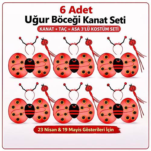 6'l� U�ur B�ce�i Ate� B�ce�i Kost�m Seti � Kanat Ta� Asa